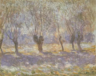 The Willows, Giverny